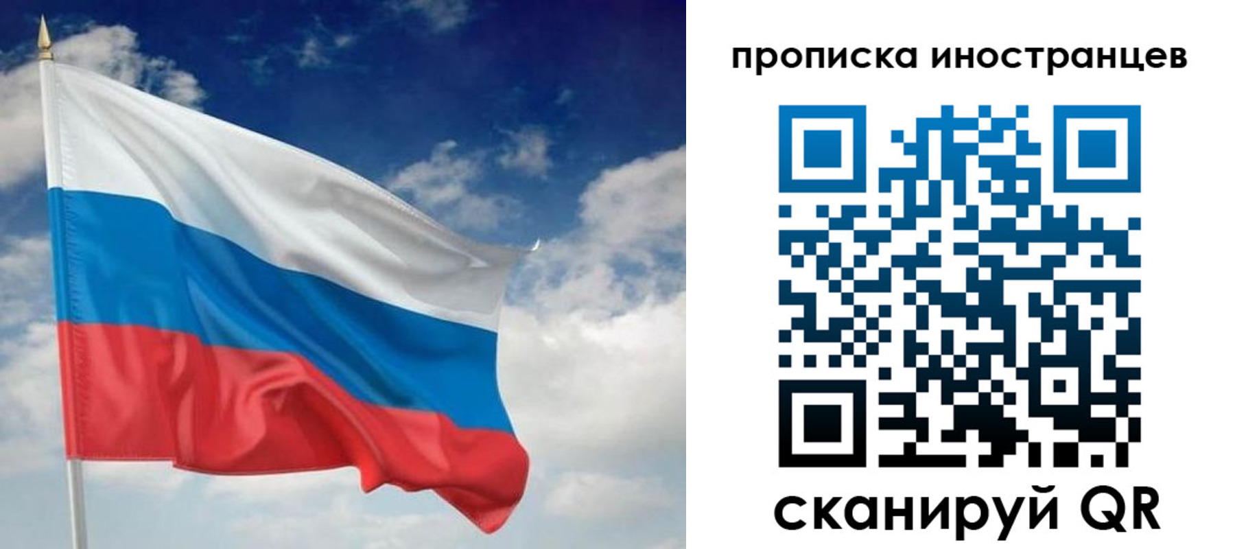 временная регистрация гарантия в Александровске