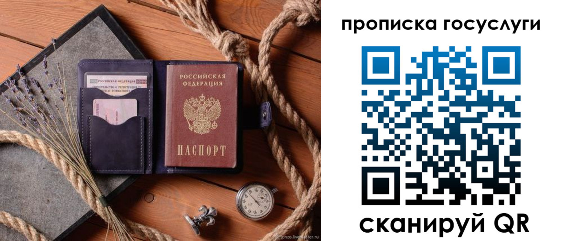 прописка поиск в Александровске